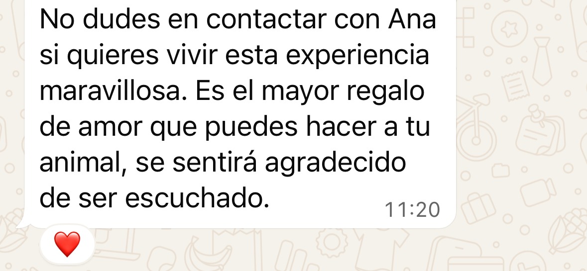 Recomendación de una experiencia con Ana