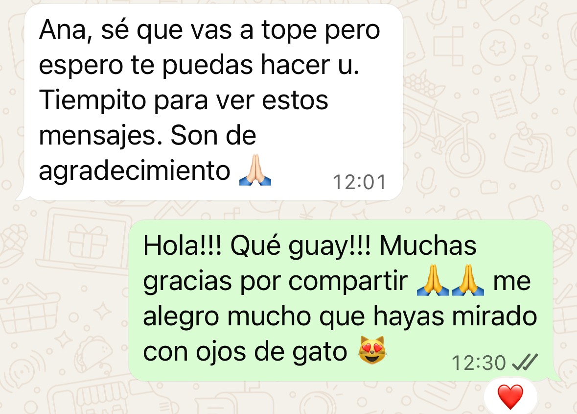 Conversación de WhatsApp agradeciendo a Ana por mirar con ojos de gato