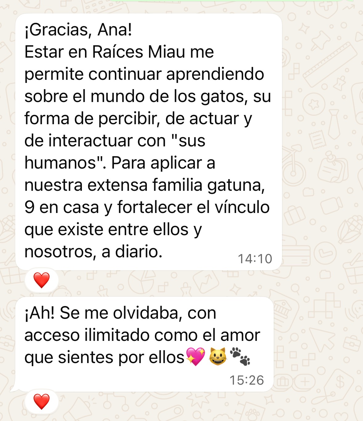 Testimonio sobre la experiencia en Raíces MIAU