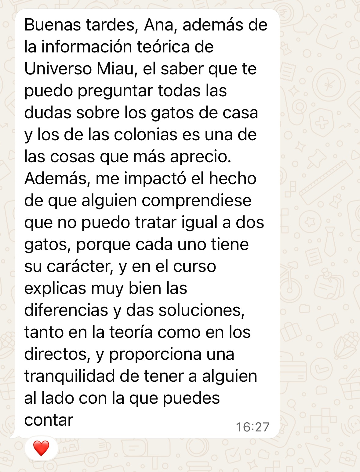 Testimonio sobre el acompañamiento y la formación felina